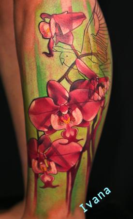 Tattoos - Orchid flowers and pink Macaw - 73320